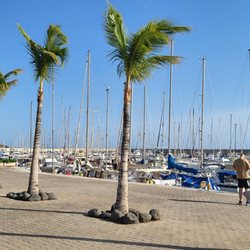 El Tomate - Blick auf den Hafen