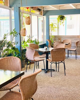 Live Oak Cafe by null