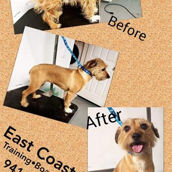 East Coast K9 - Riley - Pet Training Near Me East Coast K9 - Riley - Pet Training Near Me