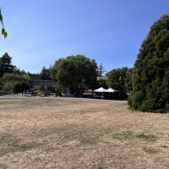 Orcas Island Farmers Market - Huge park - Farmers Market Near Me - Eastsound, Washington