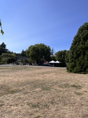 Orcas Island Farmer's Market by null