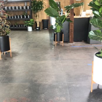 Blvd Nursery - Nurseries & Gardening Near Me - Pasadena, California