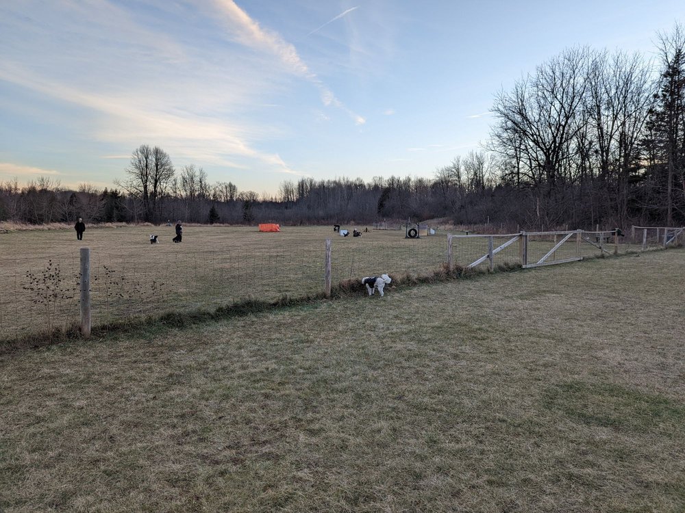 HOMESTEAD HOWL DOG PARK Updated June 2024 N120W19809 Freistadt Rd