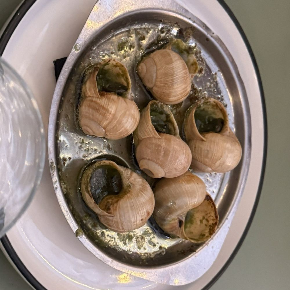 Dr. Wine - Escargot - Wine Bars Near Me - Dijon, 21