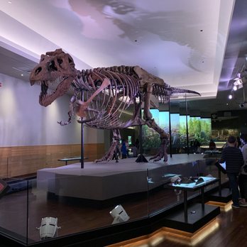 Field Museum - Sue! - Museums Near Me - Chicago, Illinois