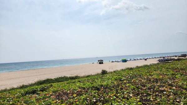 Fort Lauderdale Marriott Harbor Beach Resort & Spa by null