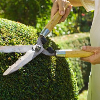 Parker Landscape Design - a woman trimming a hedge - Landscaping Near Me Parker Landscape Design - a woman trimming a hedge - Landscaping Near Me