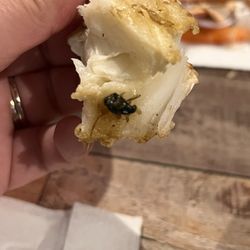 Champion Grill Buffet - Found a fly stuck onto this piece of deep fry crab. This fly looks like it was deep fried along with the crab.