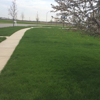 Green Services - Neighbor to the left - Pest Control Near Me - Joliet, Illinois Green Services - Neighbor to the left - Pest Control Near Me - Joliet, Illinois