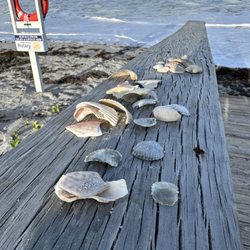 Flagler Beach