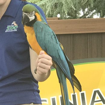 Virginia Zoo - Zoos Near Me - Norfolk, Virginia Virginia Zoo - Zoos Near Me - Norfolk, Virginia