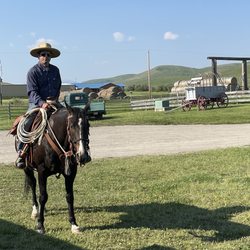 Bar U Ranch - Shane