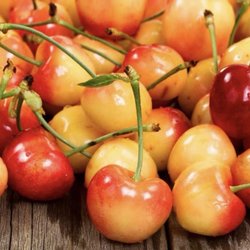 The Bronx - Addictive. The Best Cherries to Me.