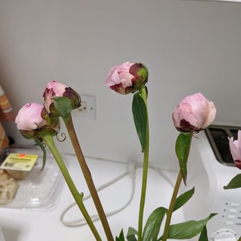 UrbanStems - what showed up on the doorstep, with half of them wilted - Florists Near Me