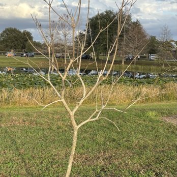 Eagle Nest Park - Parks Near Me - Orlando, Florida