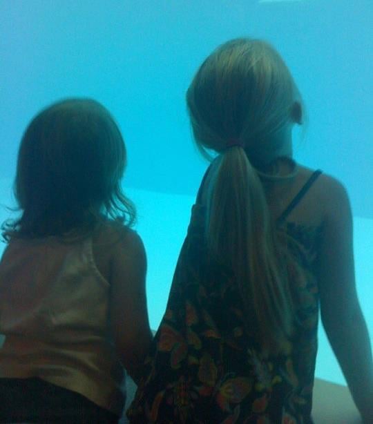 Nessa's Child Care - childcare center in Plainfield, IL