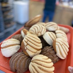 Chapala Bakery #1 - Mini concha's