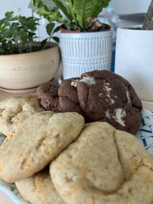 The Night Baker - College by null