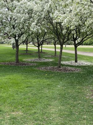 George George Memorial Park by null