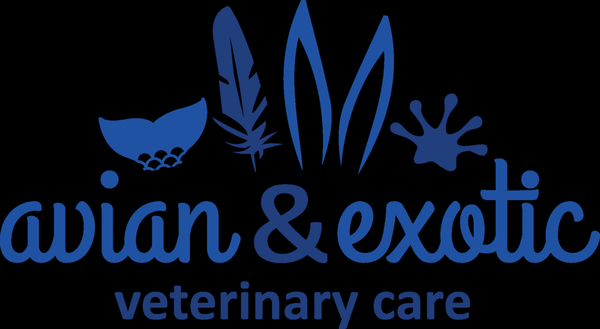 Avian And Exotic Veterinary Care Portland