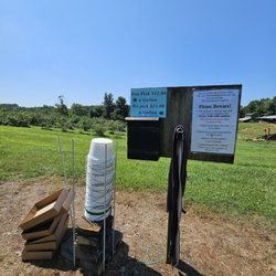 Green Mesa Blueberry Farm