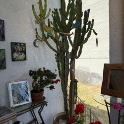 Raku Gallery - Beautiful art gallery