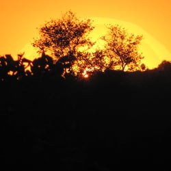 Gold Dawn Reiki - AWAKEN IN REIKI .