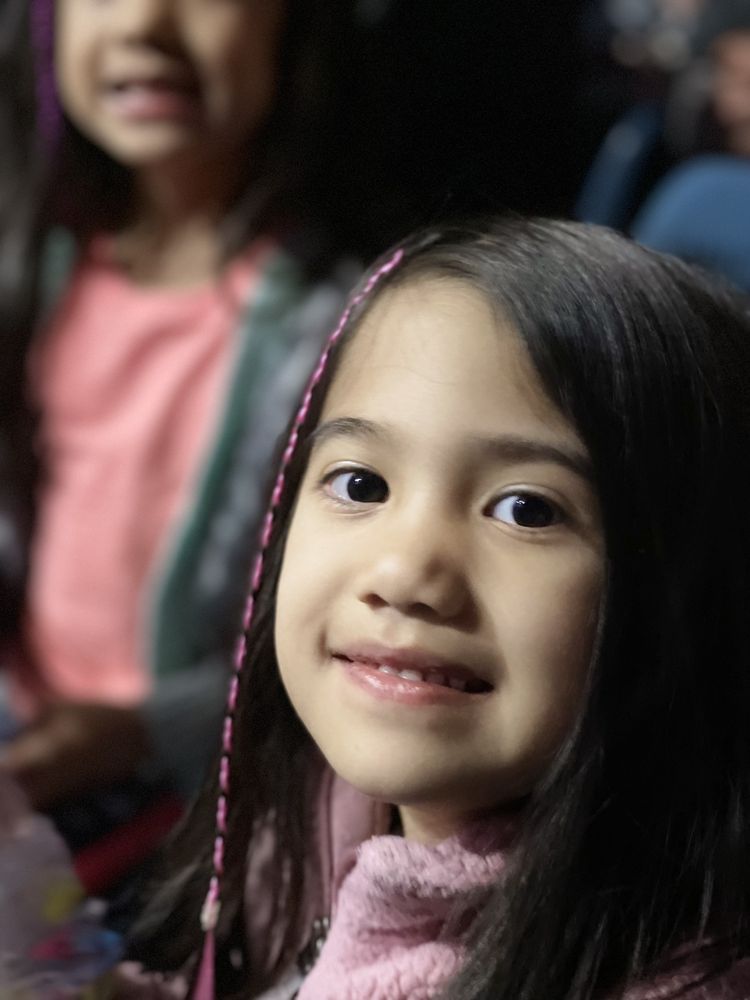 ROYAL CANADIAN INTERNATIONAL CIRCUS - Updated January 2025 - 17310 90