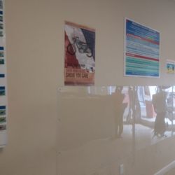 Miami Auto Tag Agency