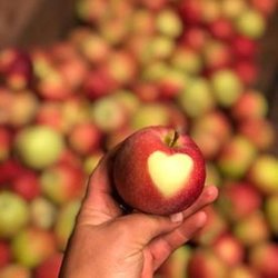 Grimm Obst U Gemüsehandels - Grimm Obst u. Gemüsehandels AG