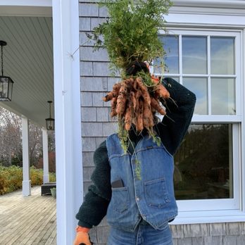 Goldenrod & Co - harvest! - Landscaping Near Me Goldenrod & Co - harvest! - Landscaping Near Me