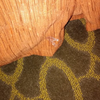 DoubleTree by Hilton Hotel Memphis - Sooo dirty - Hotels Near Me - Memphis, Tennessee DoubleTree by Hilton Hotel Memphis - Sooo dirty - Hotels Near Me - Memphis, Tennessee