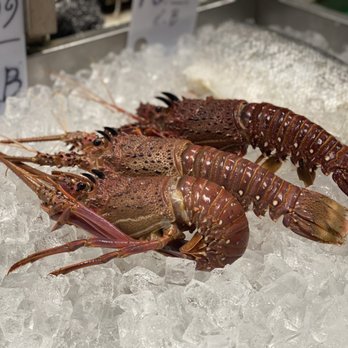Yat Ming Seafood Market - two lobsters on ice - Seafood Markets Near Me - Vancouver, British Columbia Yat Ming Seafood Market - two lobsters on ice - Seafood Markets Near Me - Vancouver, British Columbia