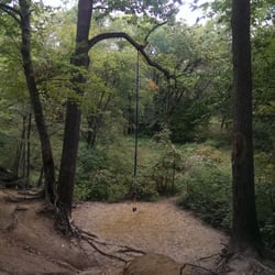 Crows Woods