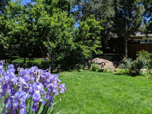 Apple Blossom Wonderschool - childcare center in Wheat Ridge, CO