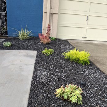 Shambhala Landscapes - Front yard: pavers, pebbles, and succulents - Landscaping Near Me Shambhala Landscapes - Front yard: pavers, pebbles, and succulents - Landscaping Near Me