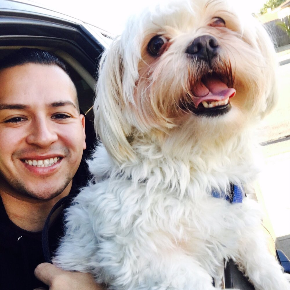 PetSmart - 2 Dogs lol - Pet Groomers Near Me - Monrovia, California PetSmart - 2 Dogs lol - Pet Groomers Near Me - Monrovia, California