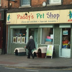 Paddy's Pet Shop