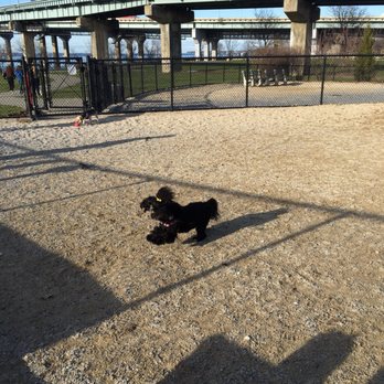 Little Bay Dog Run - Lots of room to run around - Dog Parks Near Me - Bayside, New York