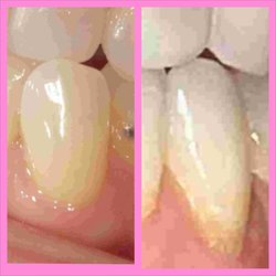 Holliday Dental