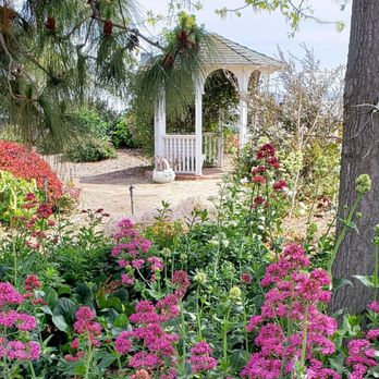 Waterwise Botanicals - Beautiful cottage garden! - Nurseries & Gardening Near Me - Bonsall, California