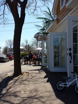 Wild Willy’s Ice Cream by null