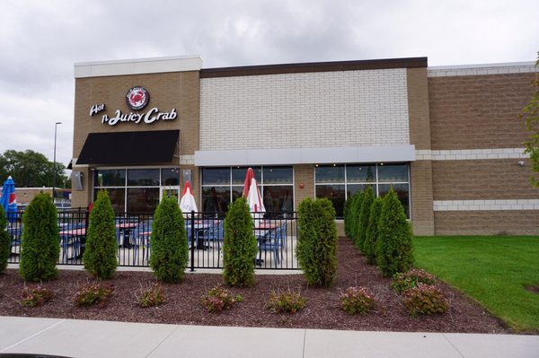 The Saucy Crab by null