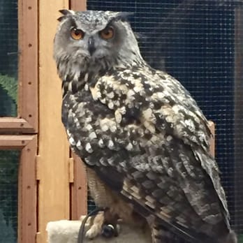 World Bird Sanctuary - Parks Near Me - Valley Park, Missouri