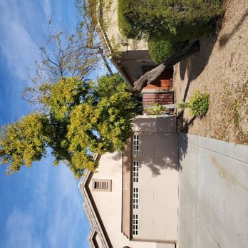 DD Landscaping- Anthem - This tree will be removed - Landscaping Near Me - Anthem, Arizona