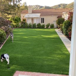 Turf!