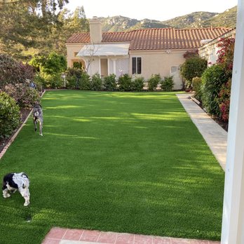 Domingo Landscaping - Turf! - Tree Services Near Me