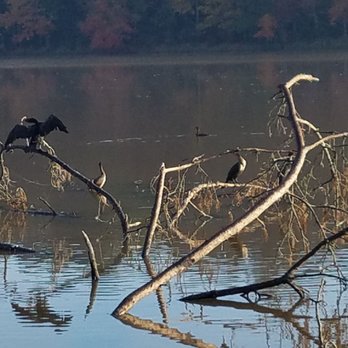 Ed Lisenby Lake - Parks Near Me - Ozark, Alabama Ed Lisenby Lake - Parks Near Me - Ozark, Alabama