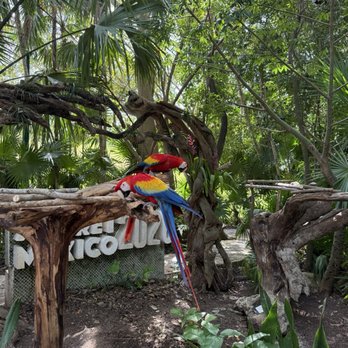Xcaret Park - Amusement Parks Near Me - Playa del Carmen, ROO