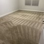 Photo of Carpet Pros